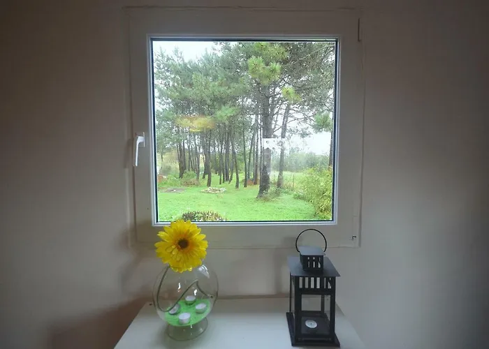 Happy Cat House - *
