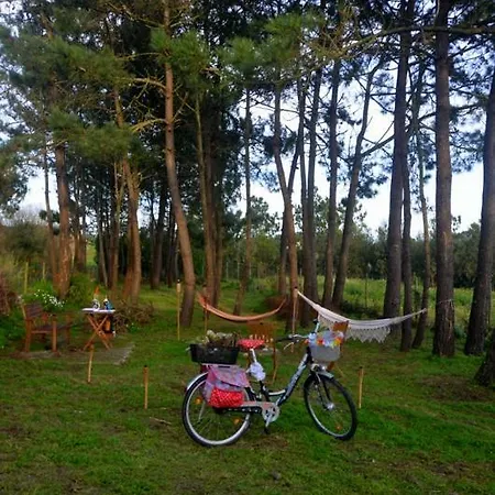 Casa vacanze Happy Cat House -